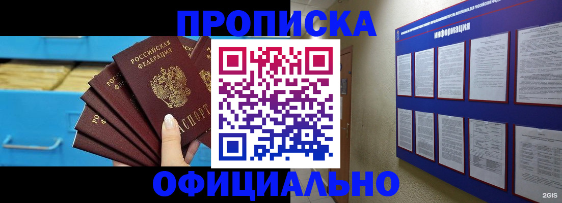 прописка поиск в Купино